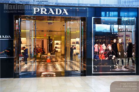 prada candian franchise|prada clothing canada.